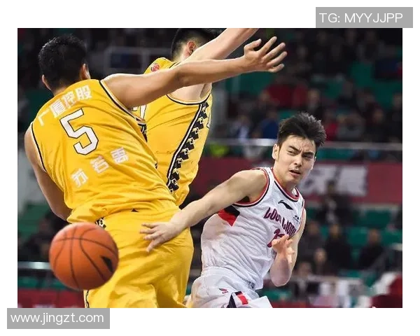 翟晓川的篮球之路：从青年才俊到职业明星的成长历程与心路历程